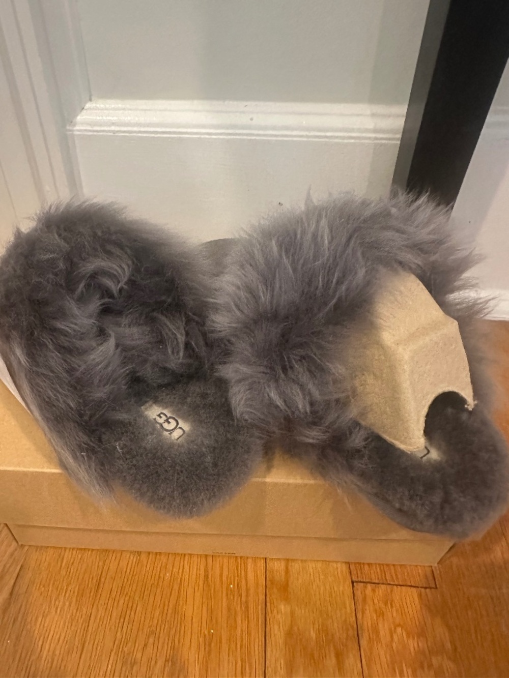 UGGs Slipper